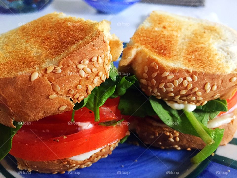 Toasted tomato sandwich with spinach 