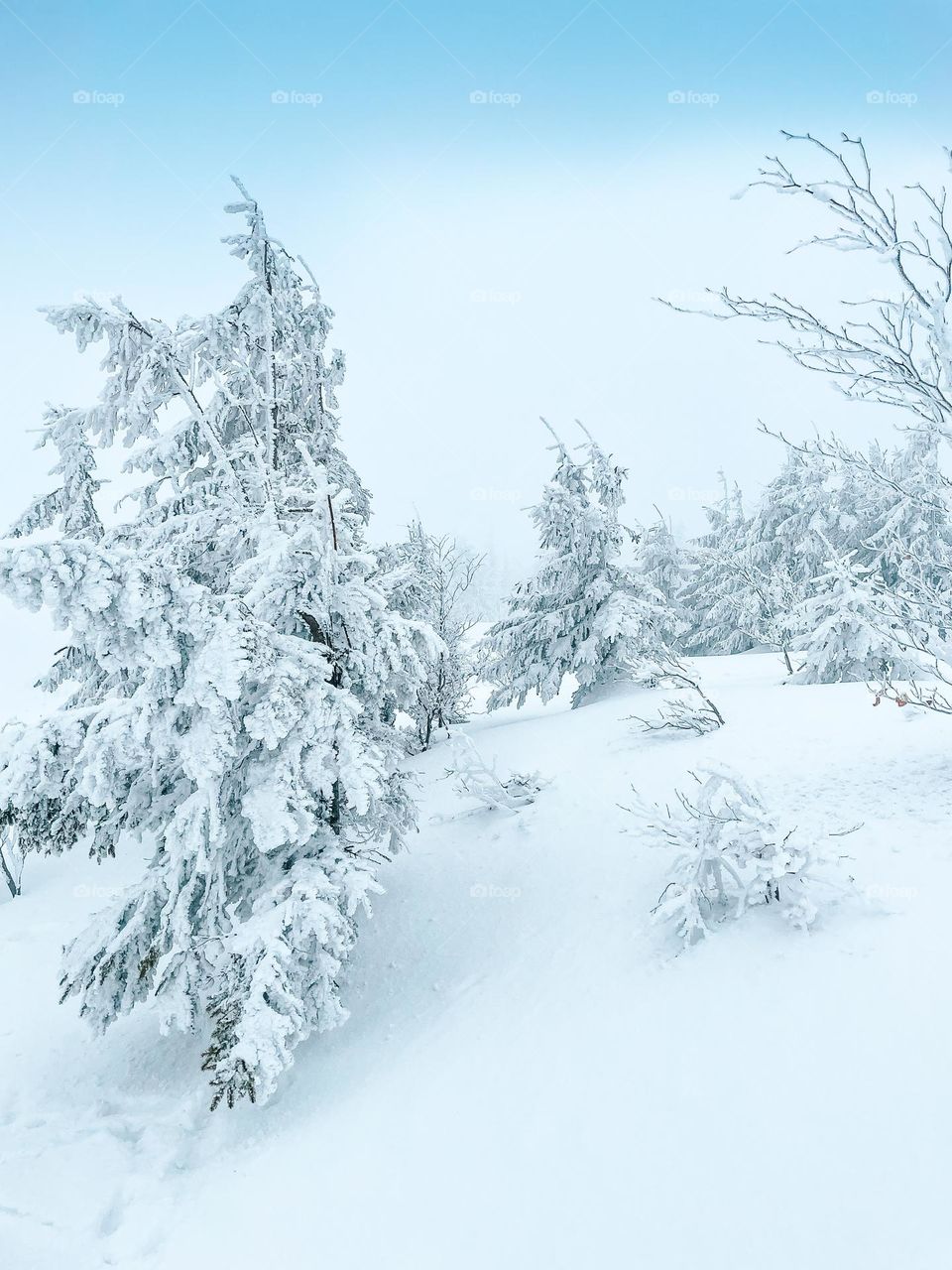 Winter in Poland