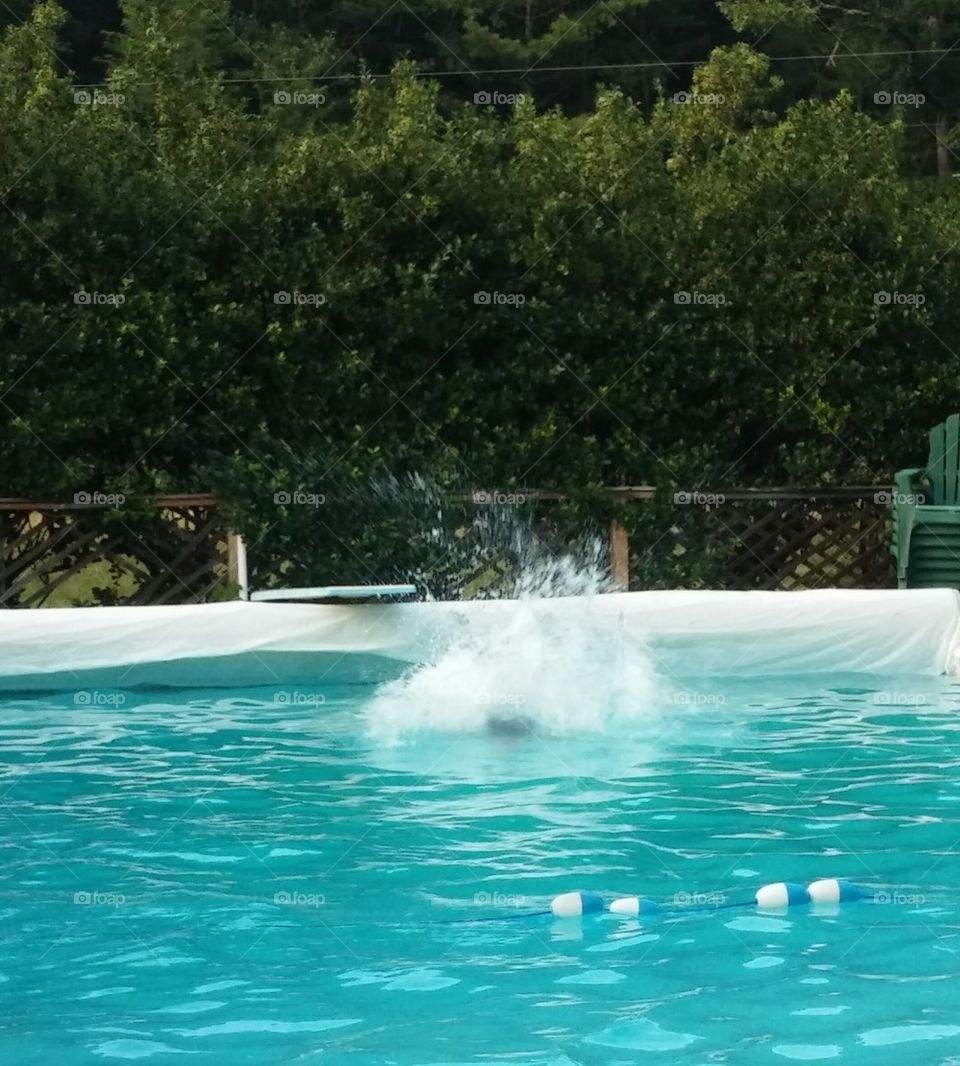 the big splash 