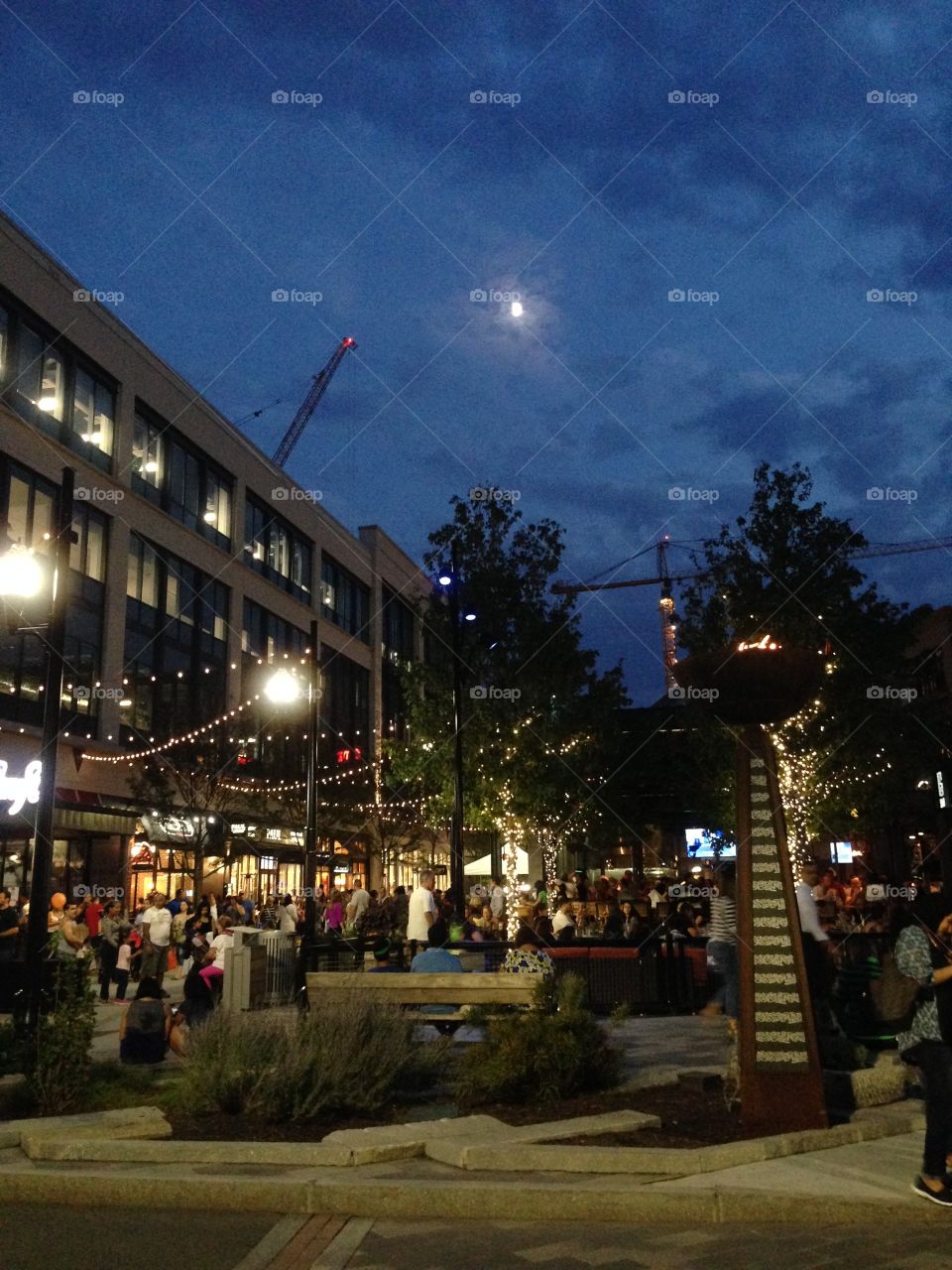 The celebration of life 