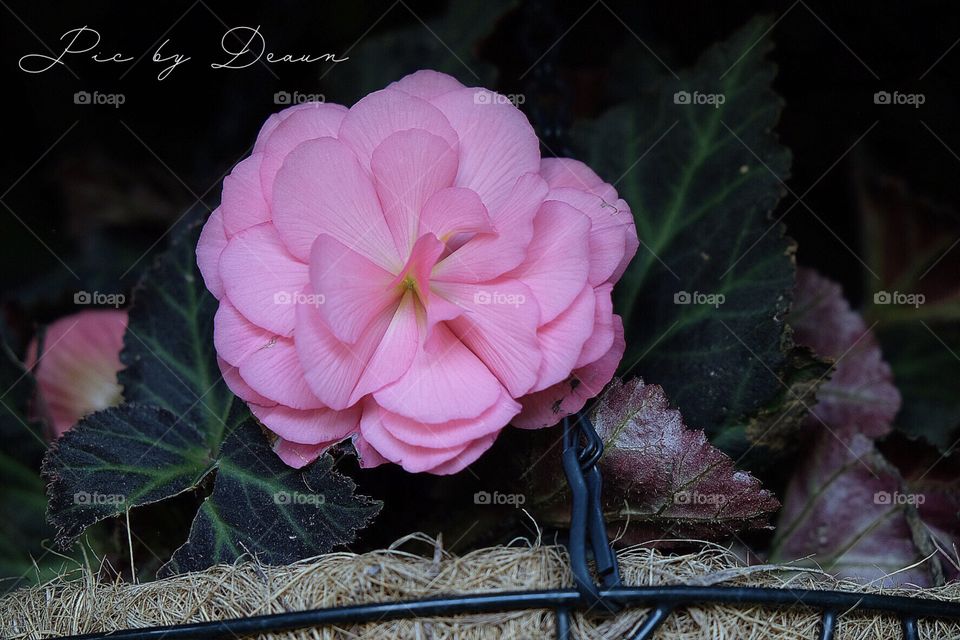 It's a beautiful day