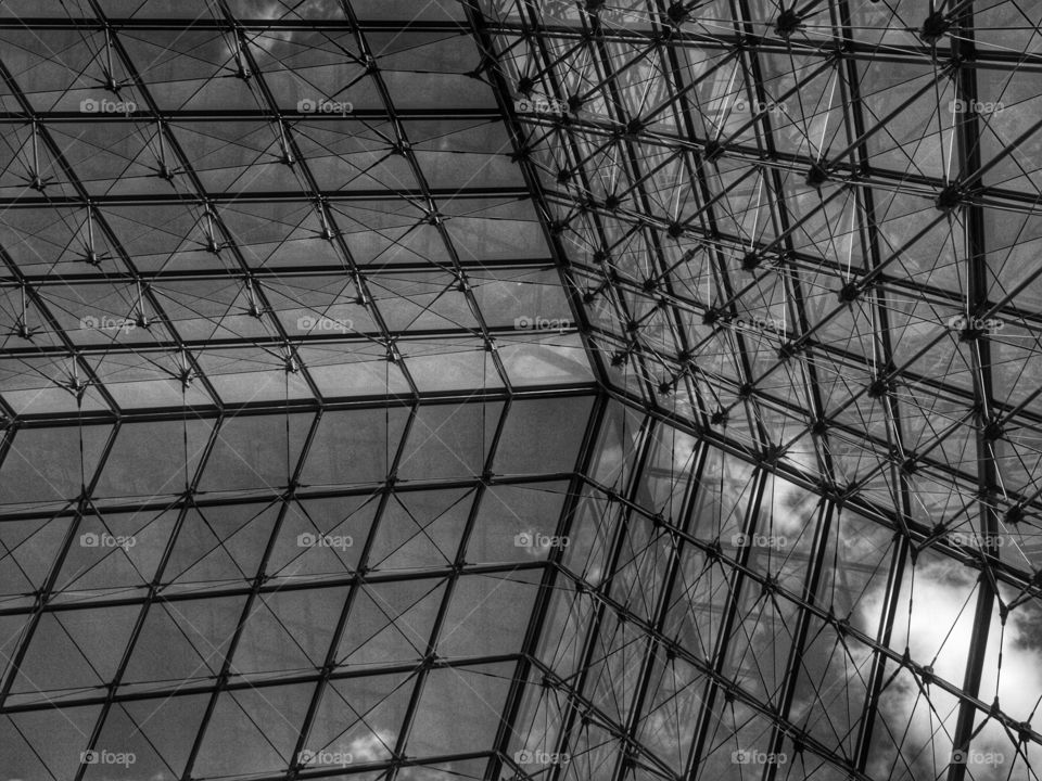 Louvre ceiling