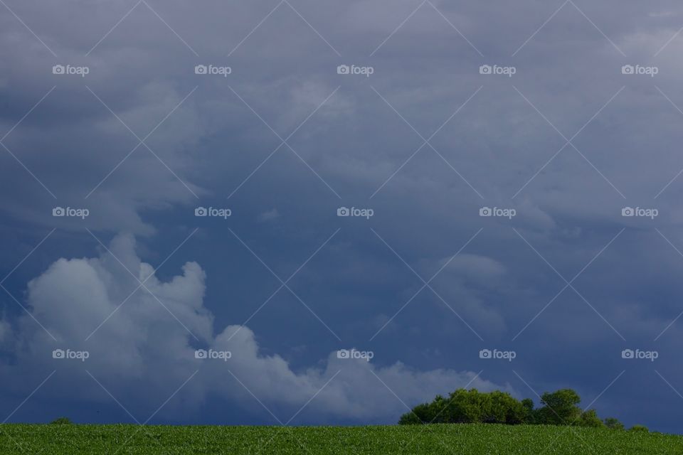 The threatening sky of an approaching storm over a cornfield and distant trees