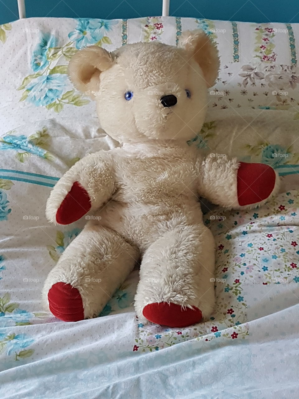 Ted on a Bed