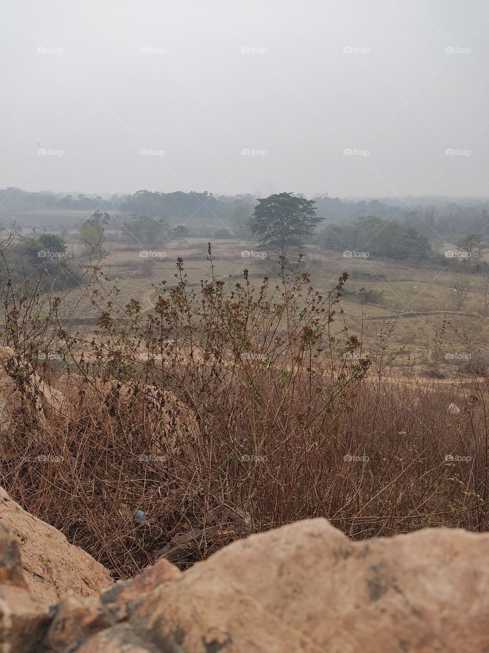 View from the top of the hill