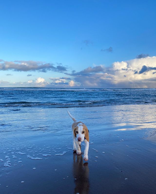 Ocean meet Ocean