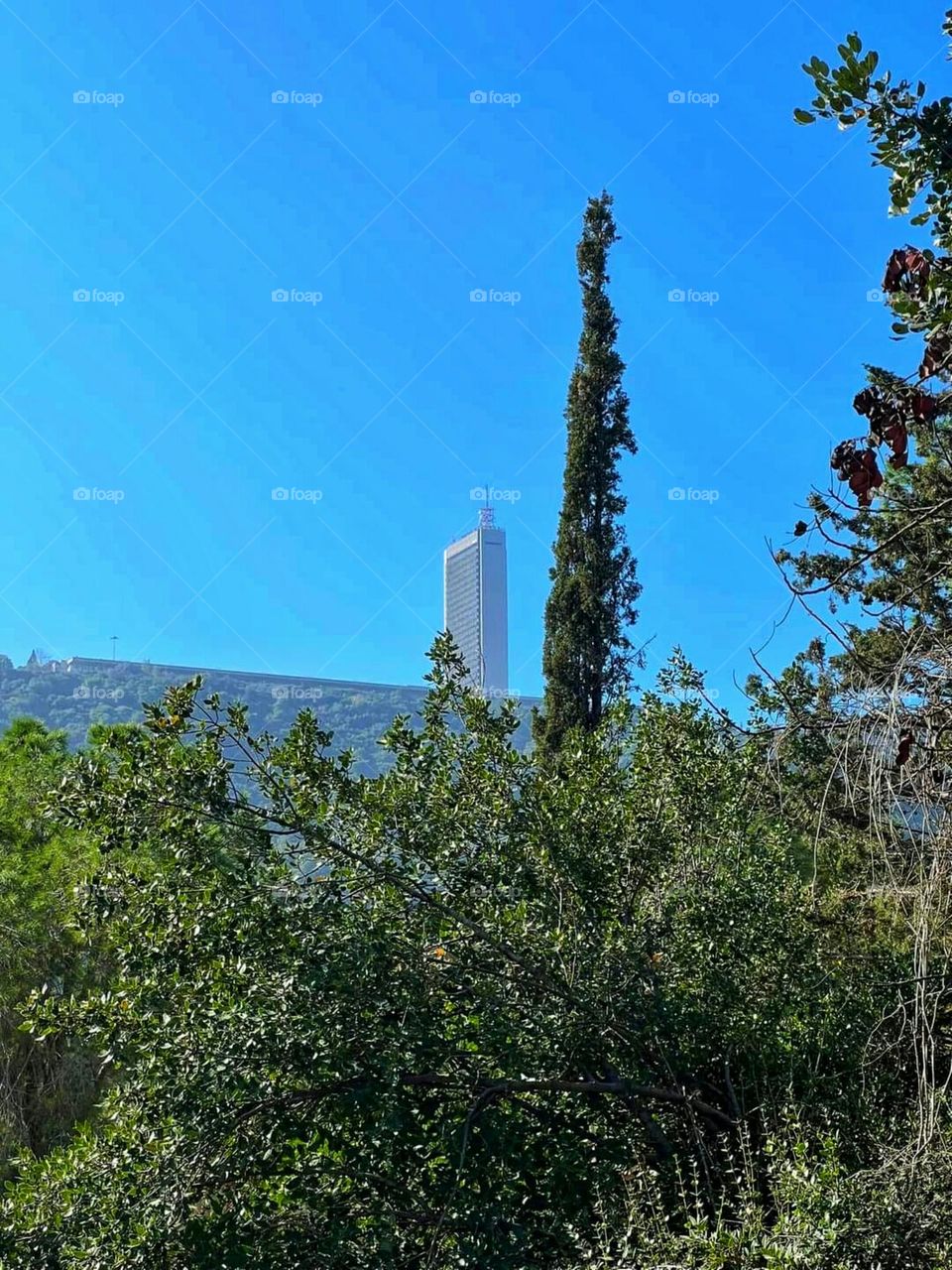 Nature in Haifa