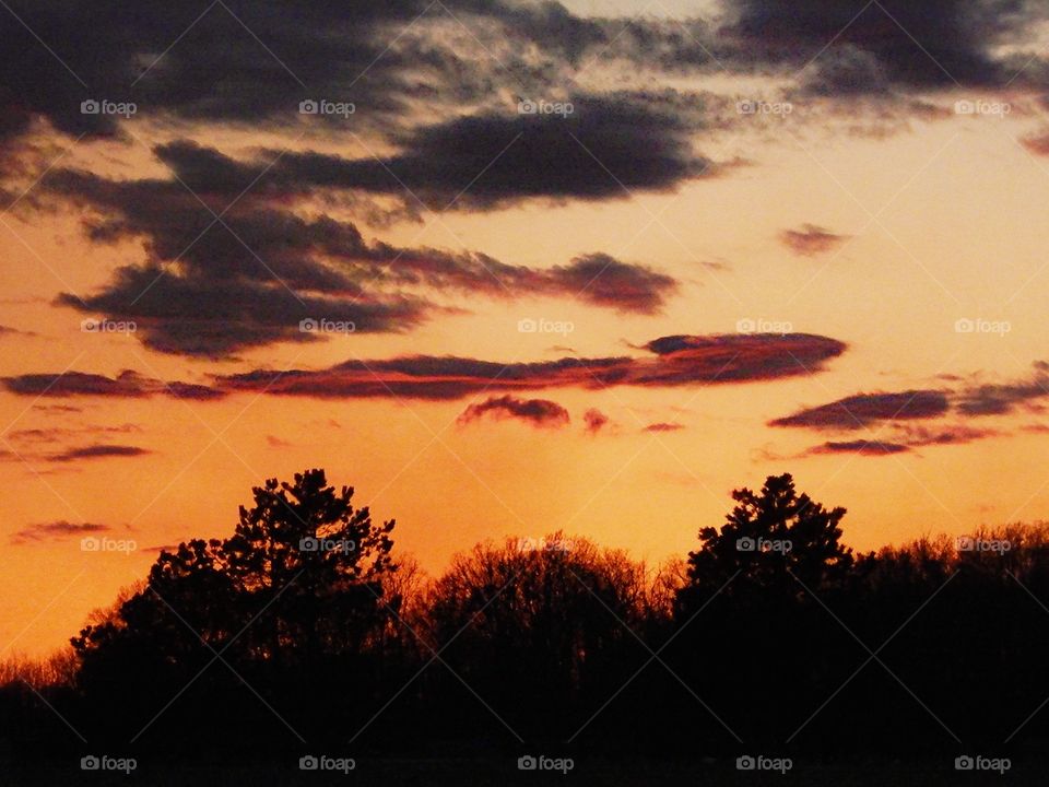 orange sunset and trees in shadows