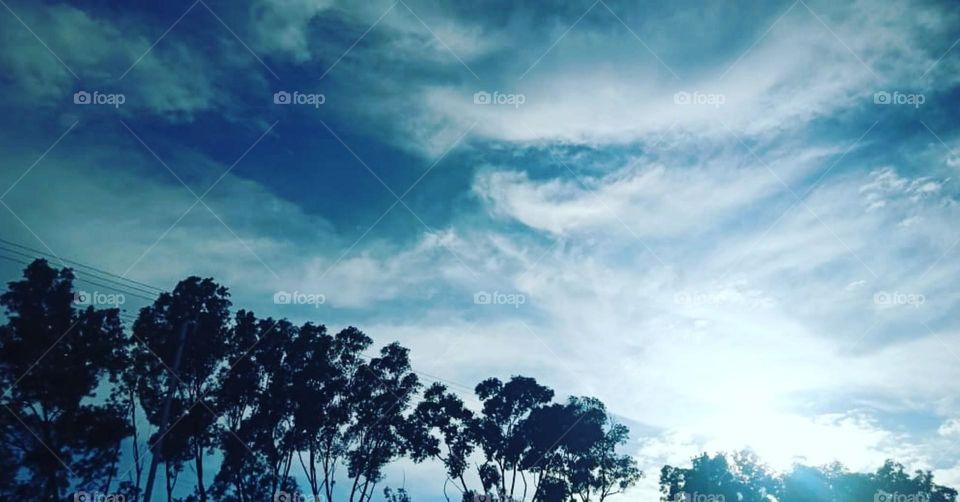 trees with brightening sky while sun is about to get set, wow that the nature