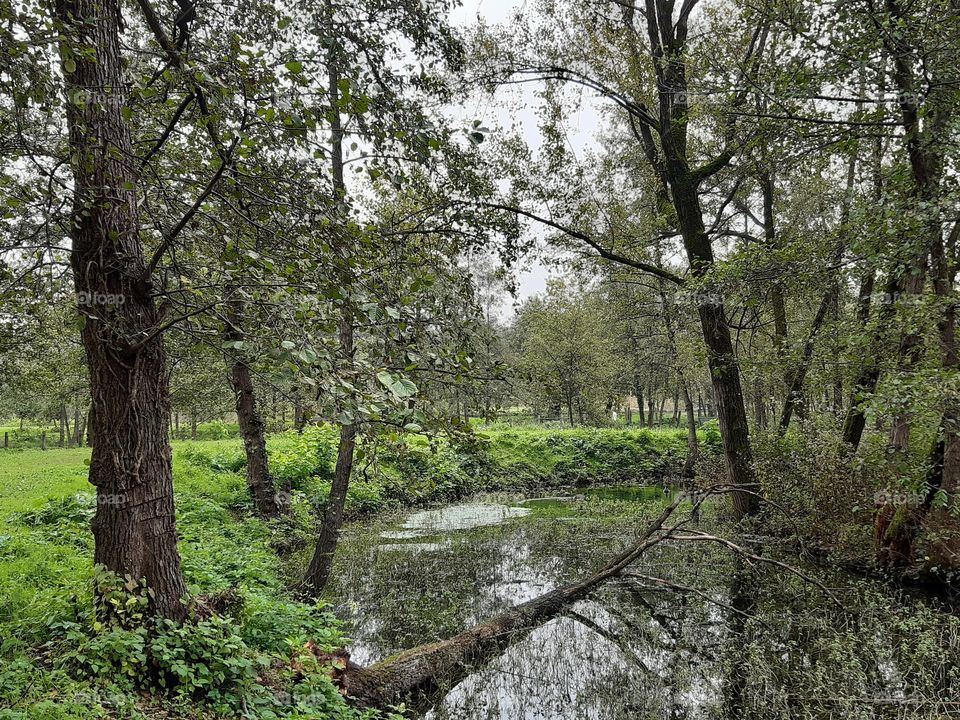 natural park in Italy