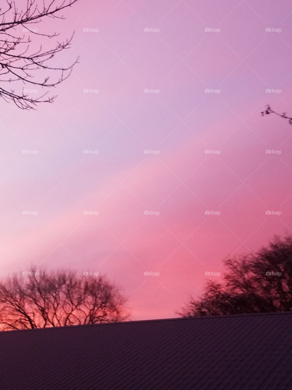 Brilliantly beautiful