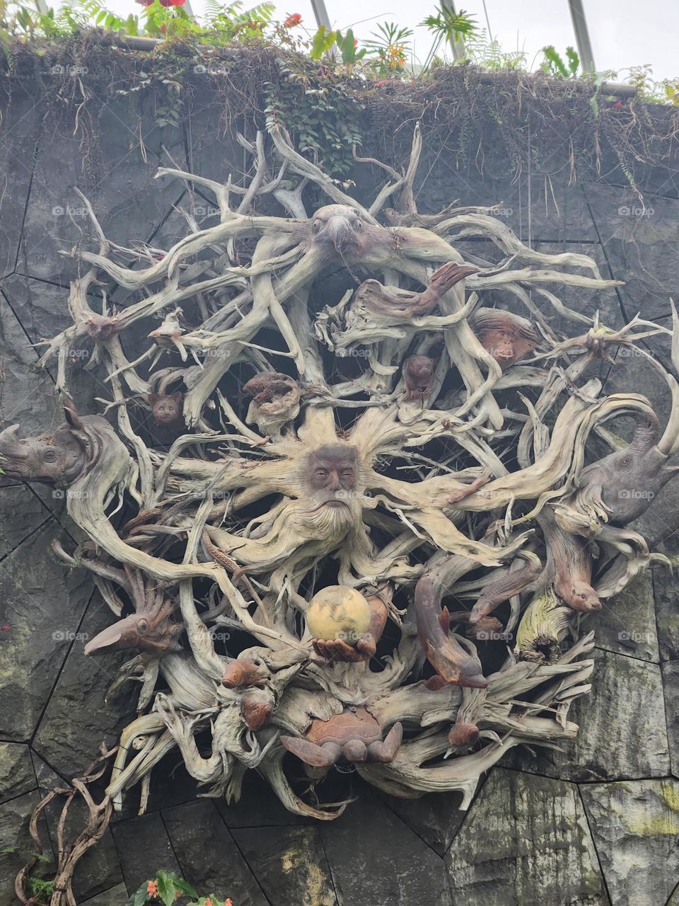 Roots with Faces