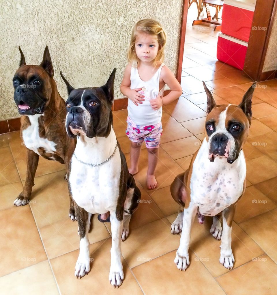 Child and dogs, the whole gang