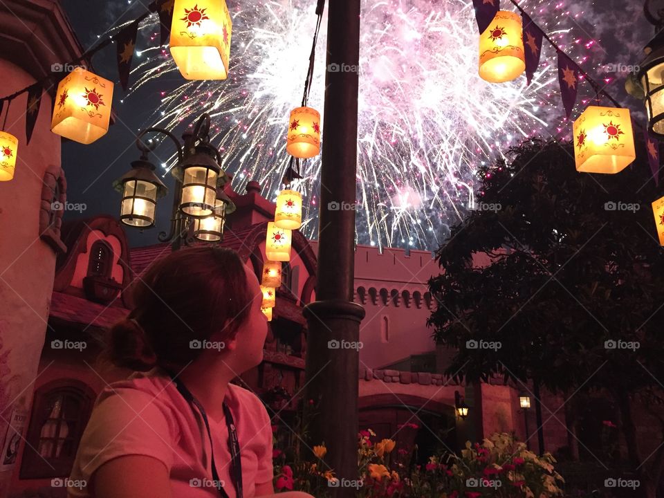 Fireworks
Walt Disney World 
Orlando FL