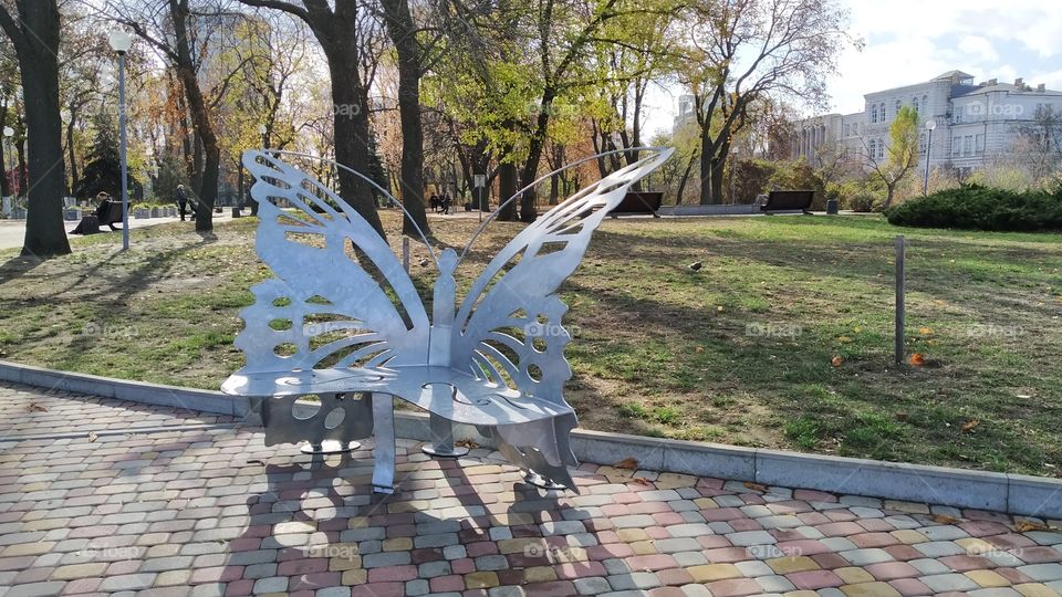 bench-butterfly