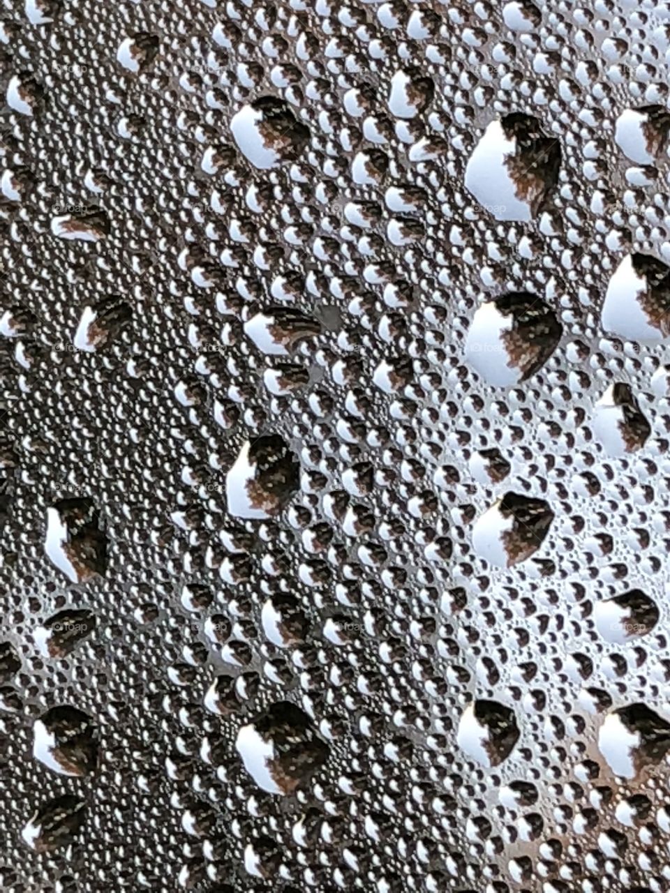 Raindrops on a window