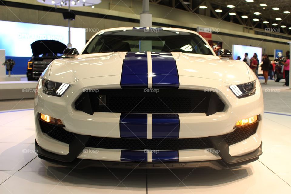 Mustang Shelby 2015