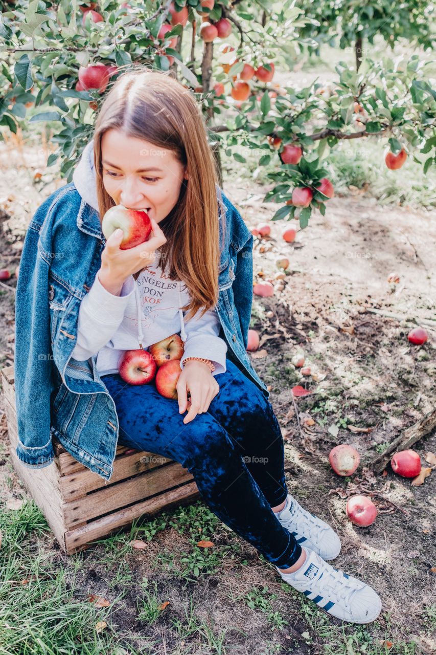Girl picking fruit and eating fresh apple at the orchard
