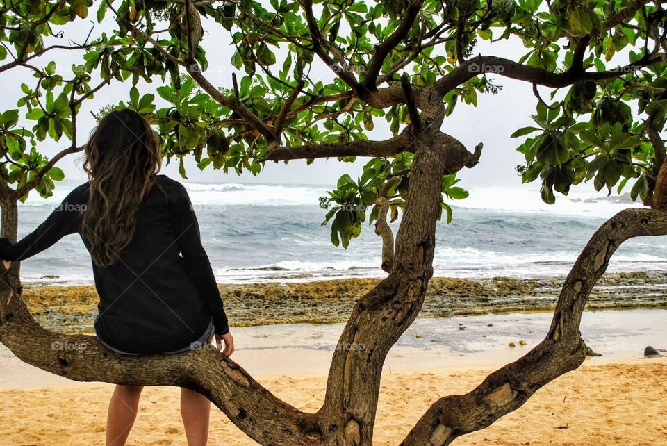 Girl sitting in a tree on beach in Hawaii. Salty hair don’t care.