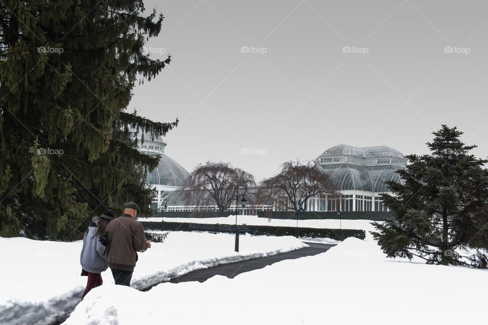 botanical garden covered in snow, new York