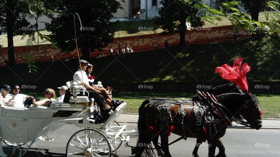 Kraków, Southern Poland, a horse-drawn carriage around the Royal Castle