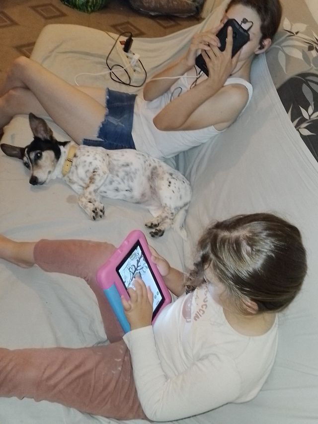 everybody is connected