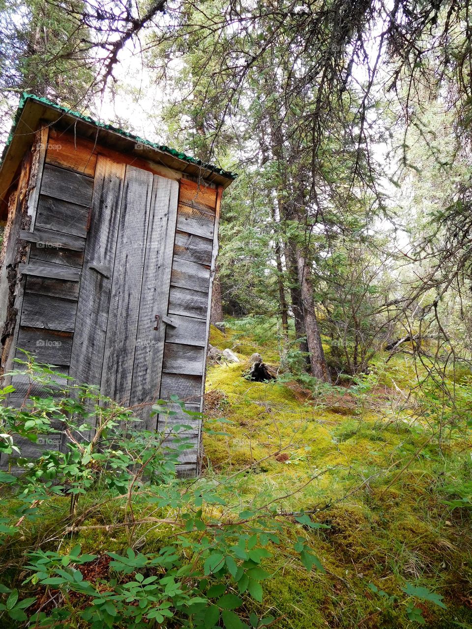 Functional after all these years