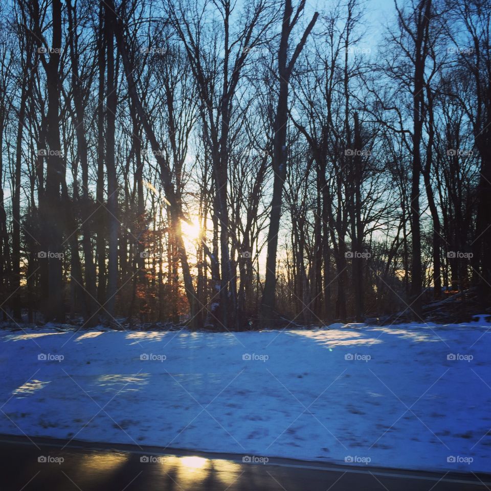 Wilderness is intricate, 
so is the woven ray of sun,
Delicate, yet insistent, she snows
Painting the colors of white, 
the color of winter and it's dawn...