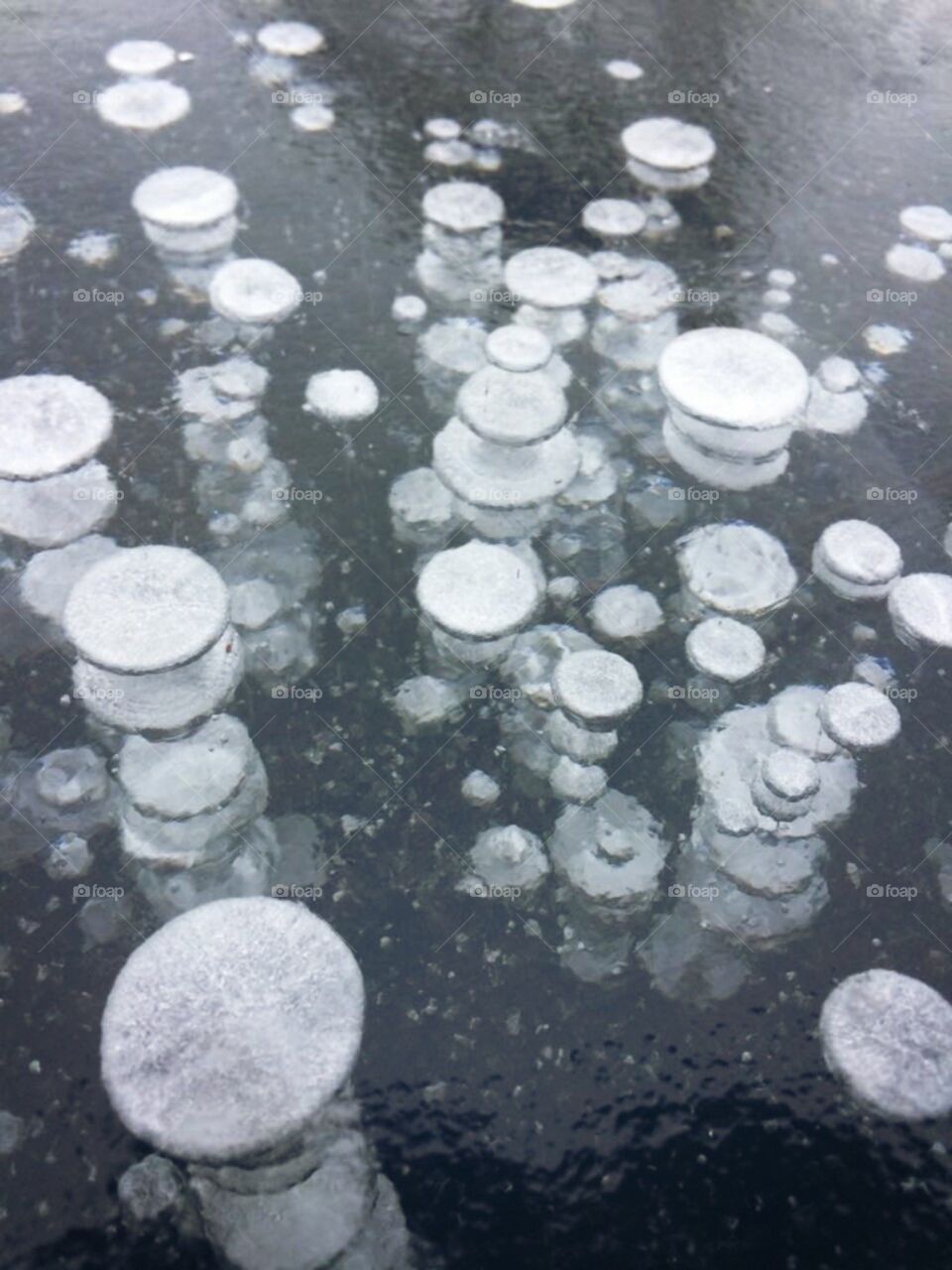 frozen bubbles