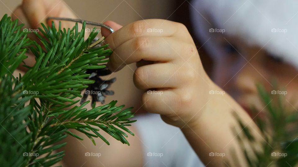 Christmas, No Person, Winter, Blur, Tree