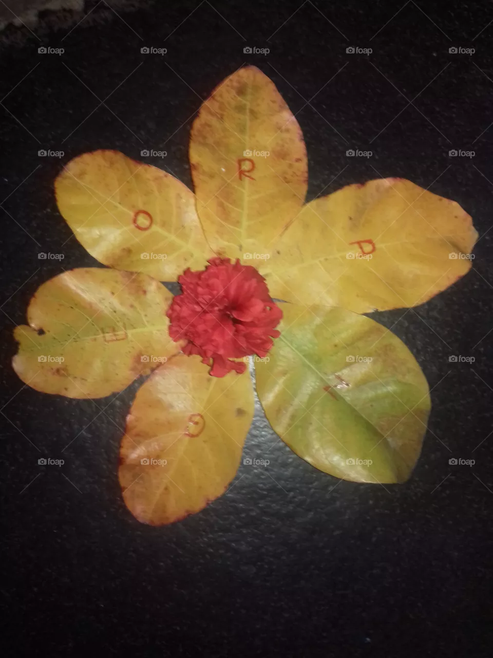 orange flower creative