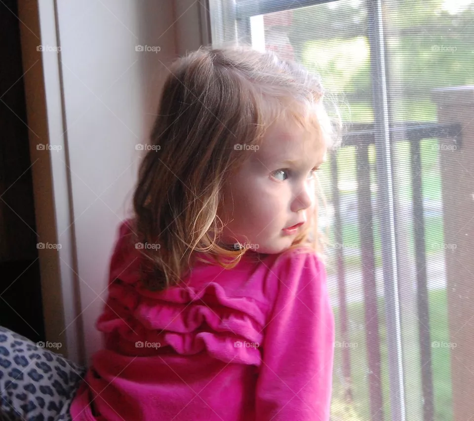 Wonder