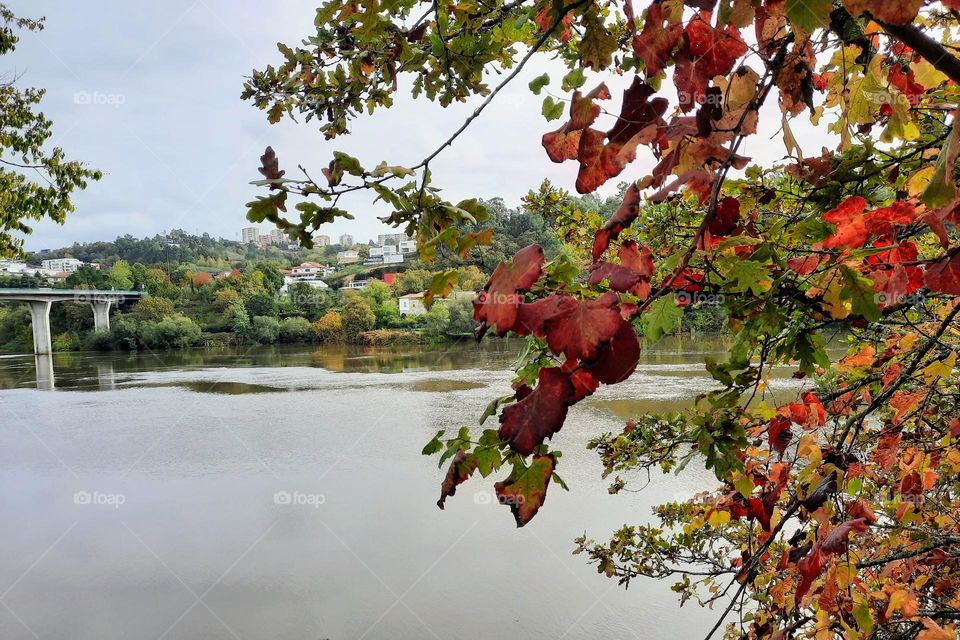 Autumn/Fall in Portugal