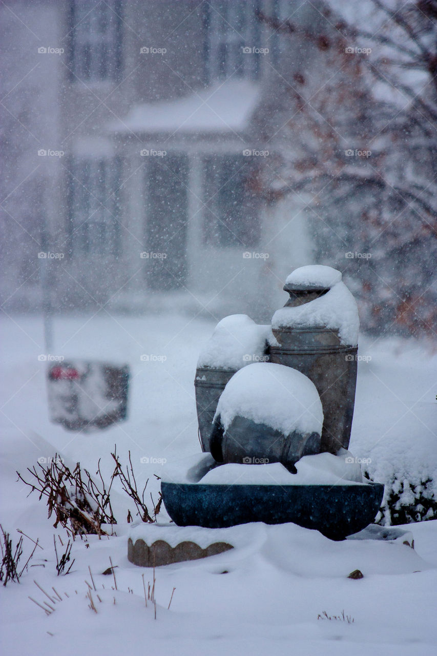 beauty of winter