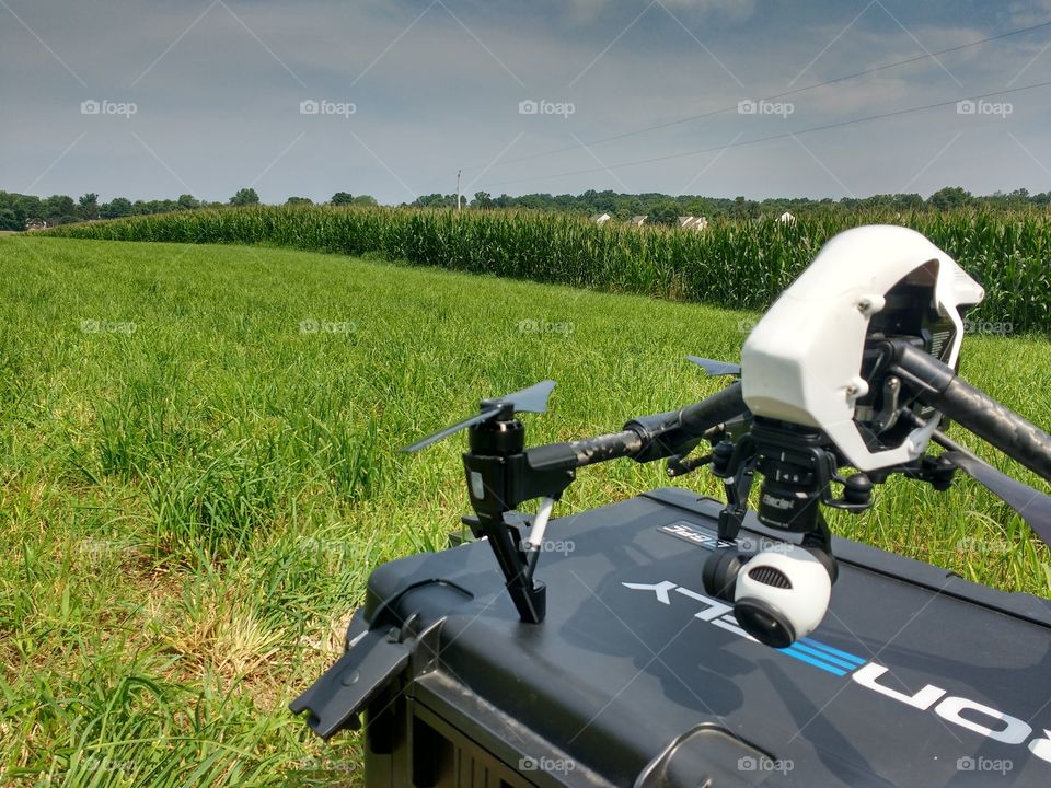 Inspire 1 drone in front of a cornfield
