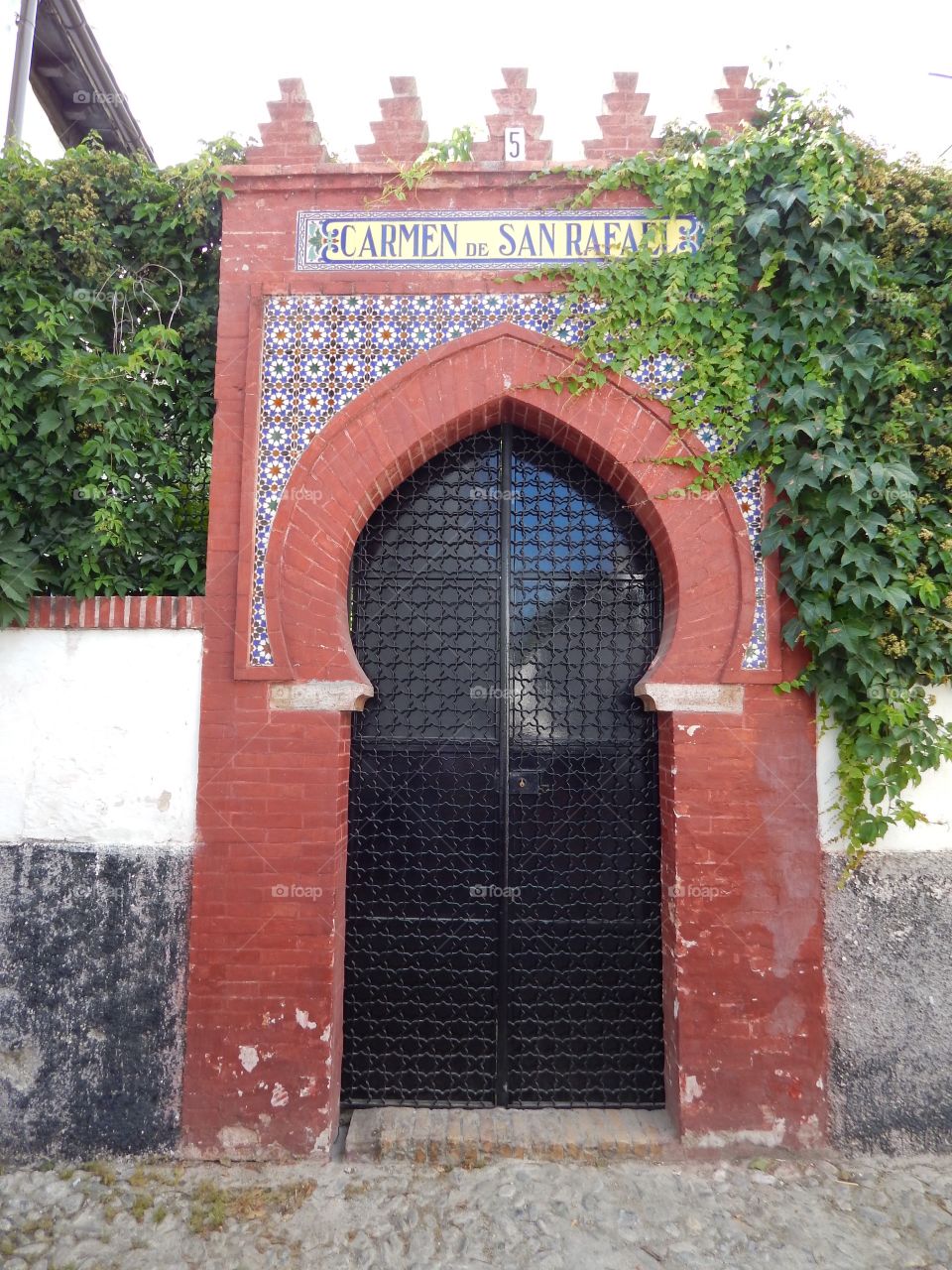 Red gate with green vines in Granada, Spain