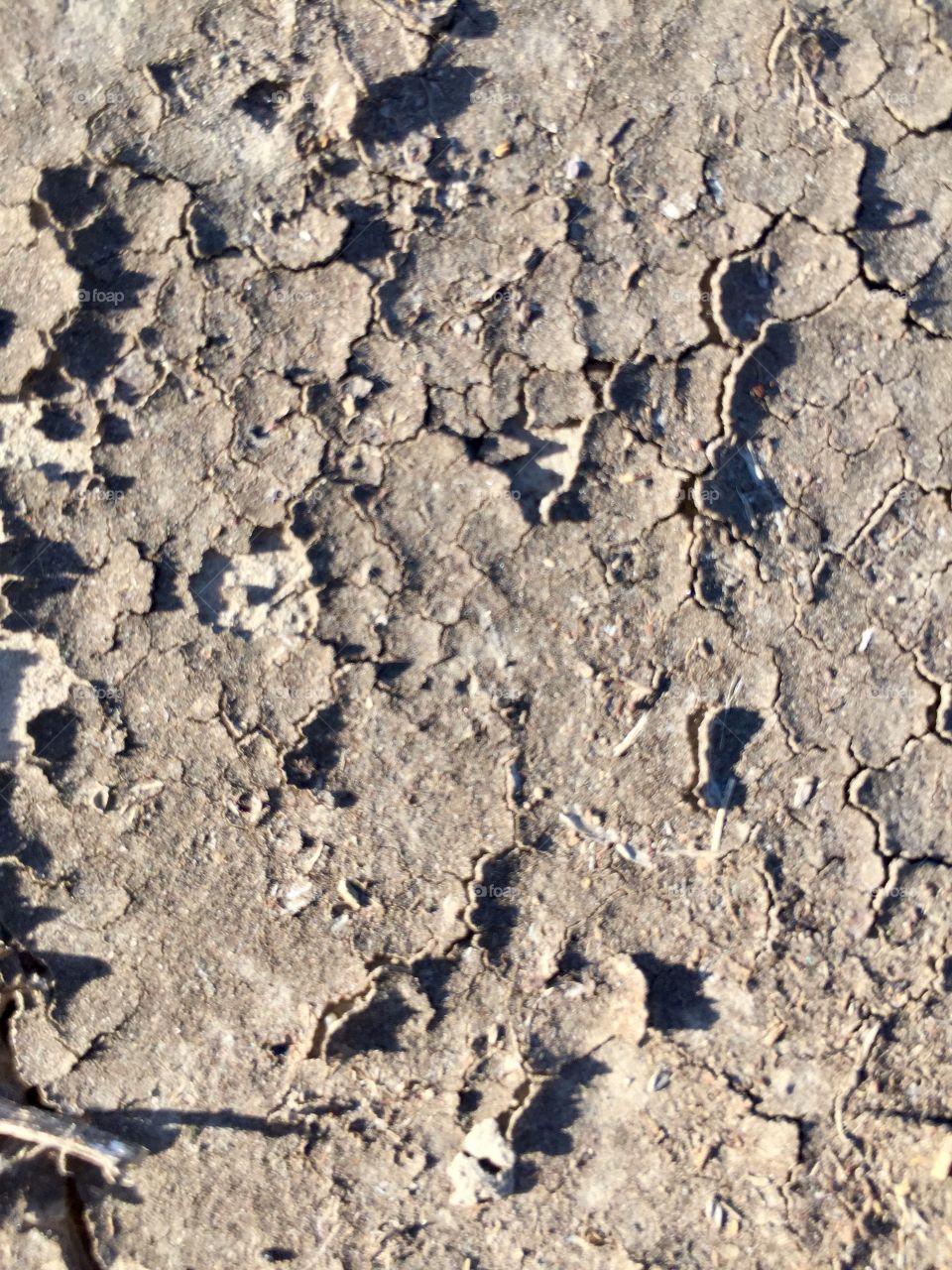 Creative Textures - dried mud