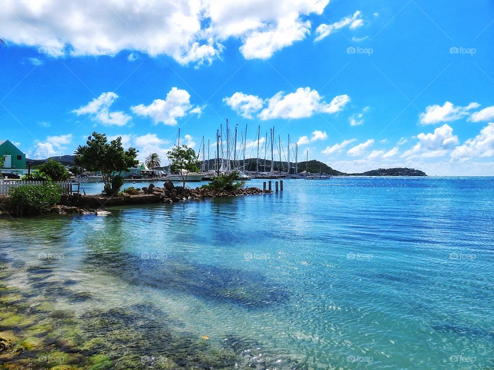 Antigua Falmouth Harbour 