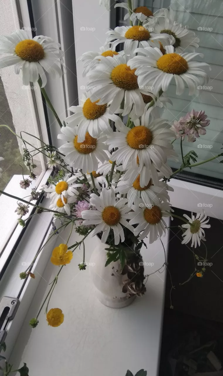 flowers