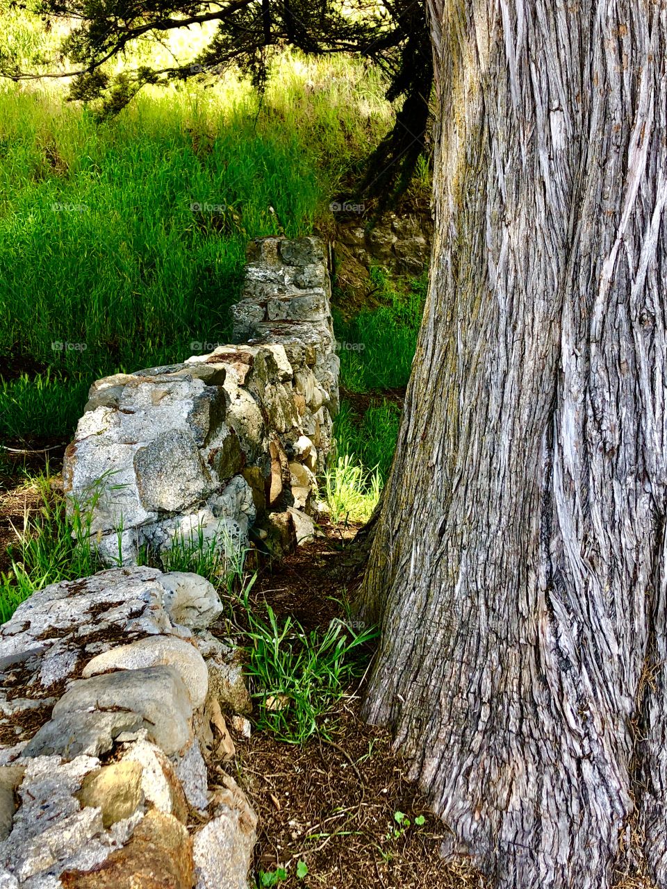 Stone and wood