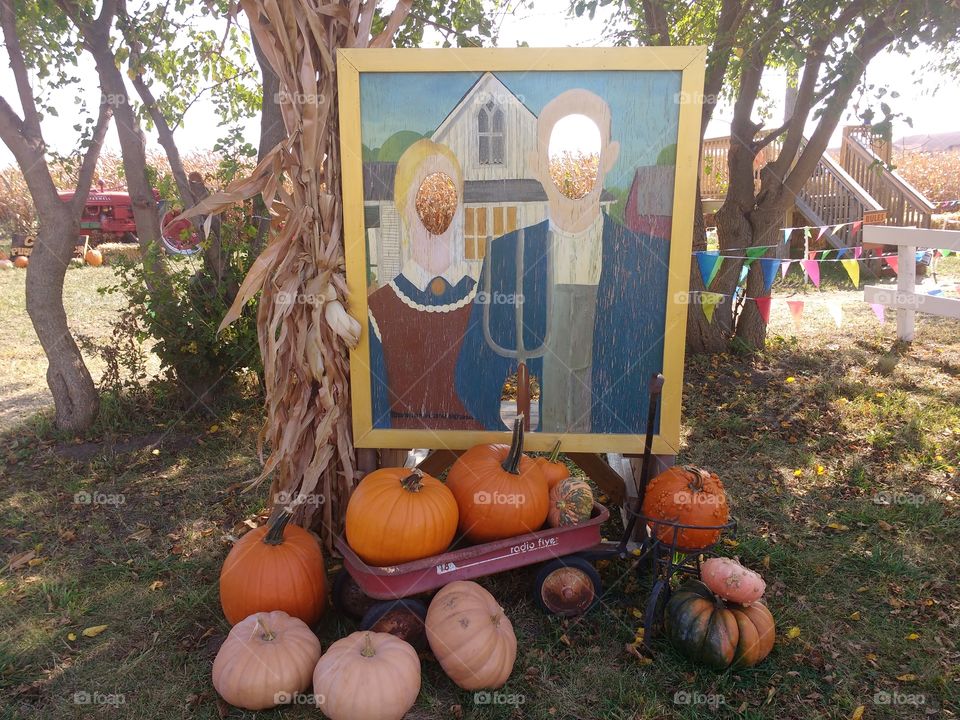 take a picture at the pumpkin patch.