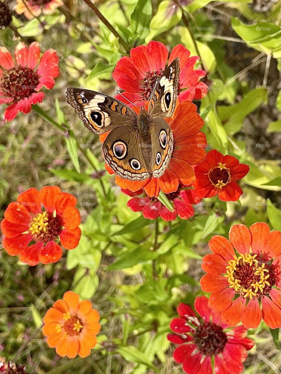 Allow her to live her life.  Old Love is gone.  Let her go. When she speaks of Love, it is with great Faith and Hope for something brand new that looks nothing like it use to.  Live, Love and allow her to do the same. Stop  the life hacking now. 