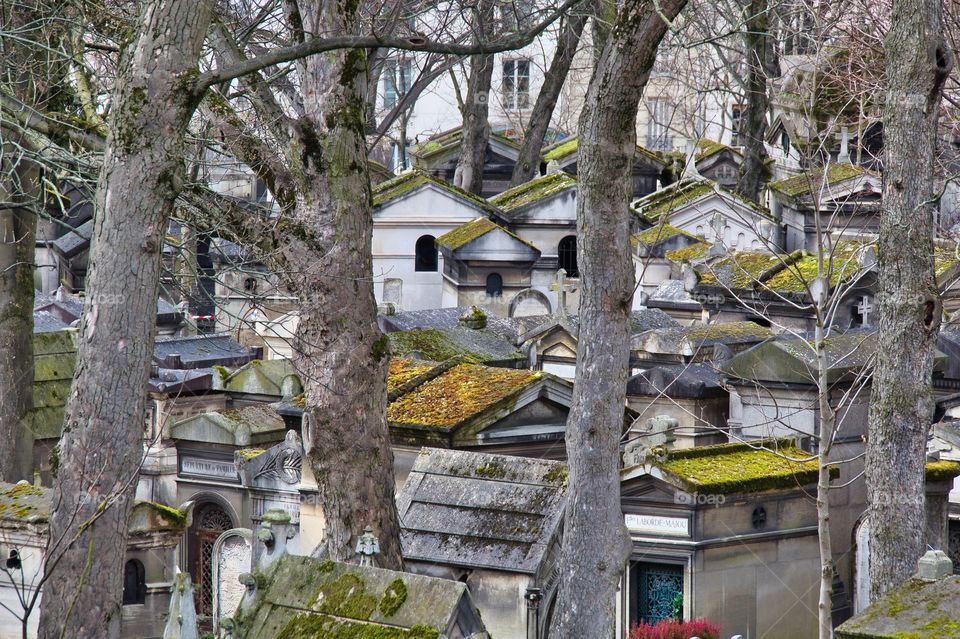 graveyard in the cemetery in paris