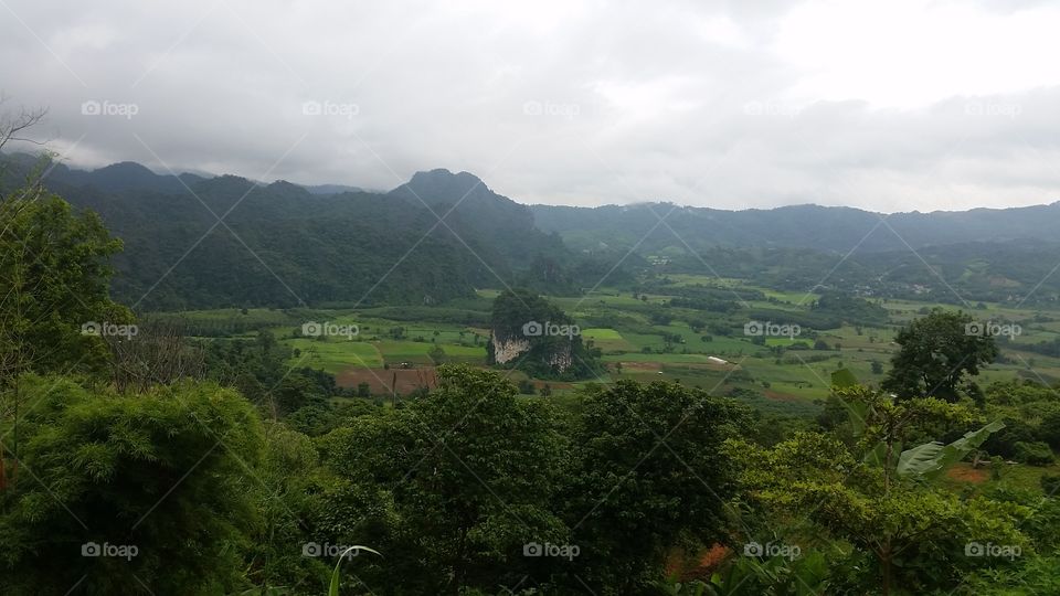 magic mountain (Phulangka)