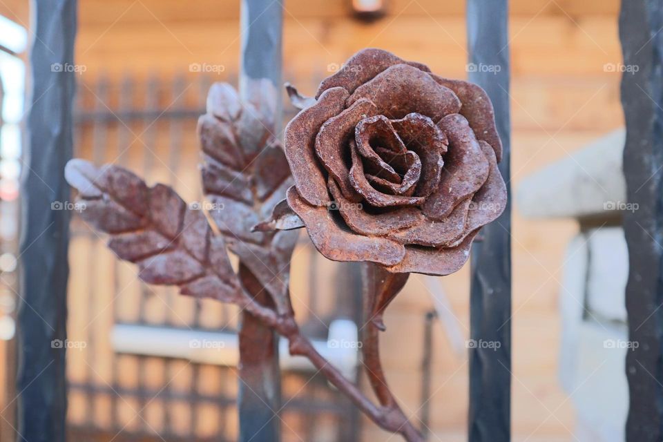 Iron railing art rose