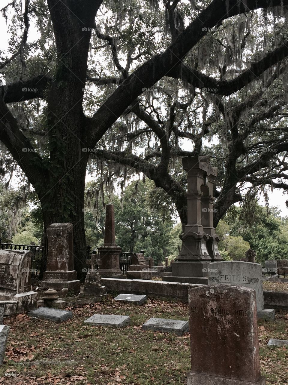 Hauntingly beautiful grave in Savannah Georgia 