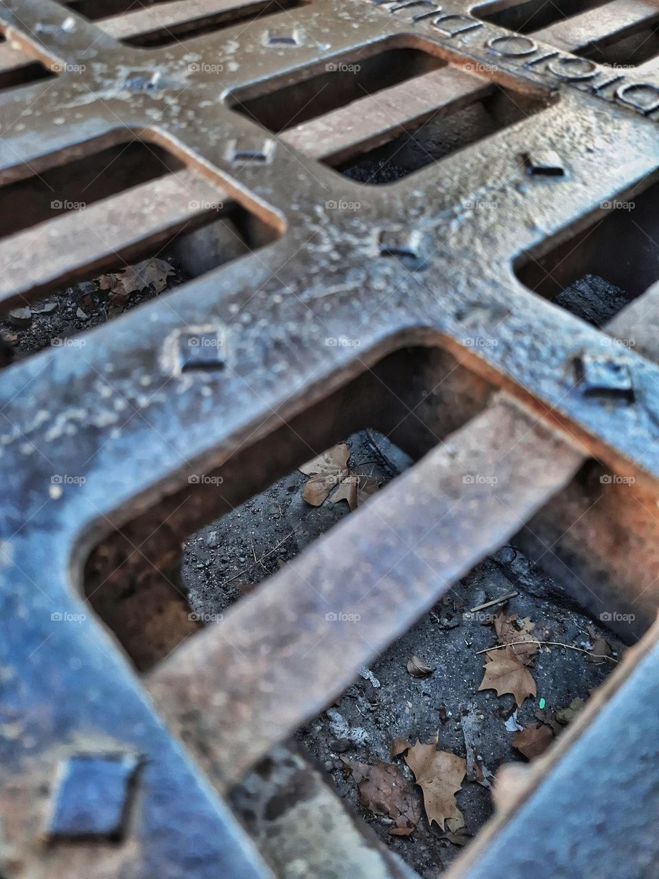 Capture of a sewer, whose interior shows us as protagonists several leaves fallen from the trees as a sign of the arrival of autumn and a farewell to summer.