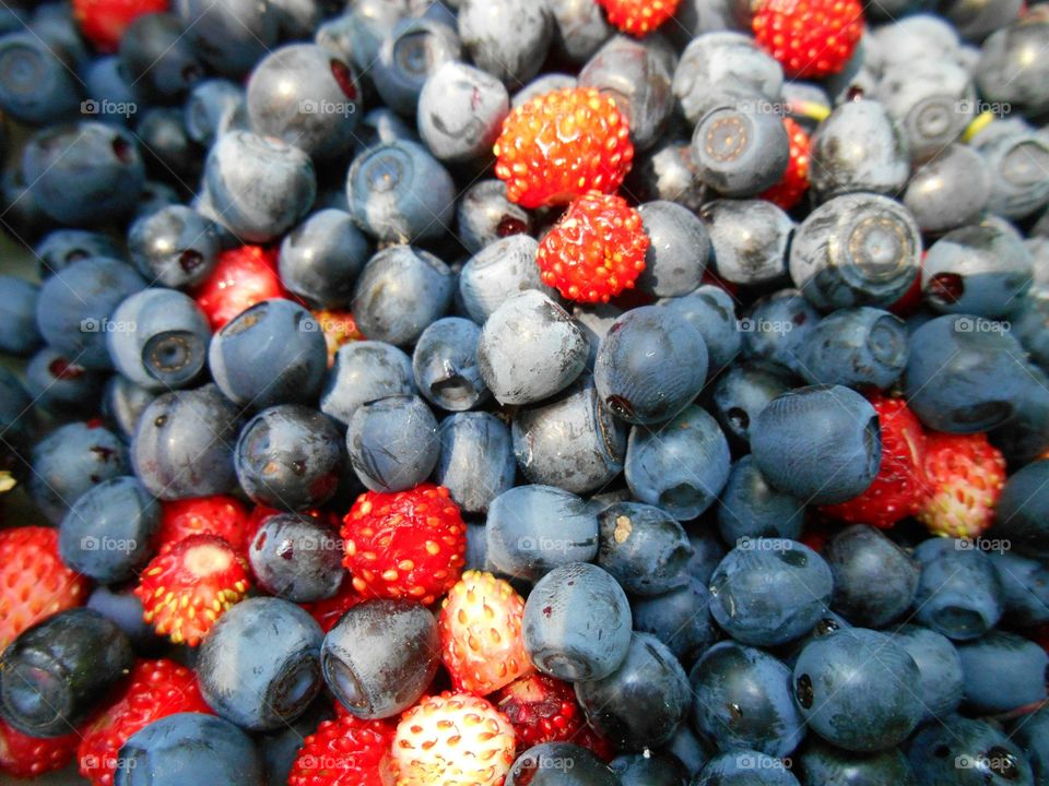 Full frame shot of berries