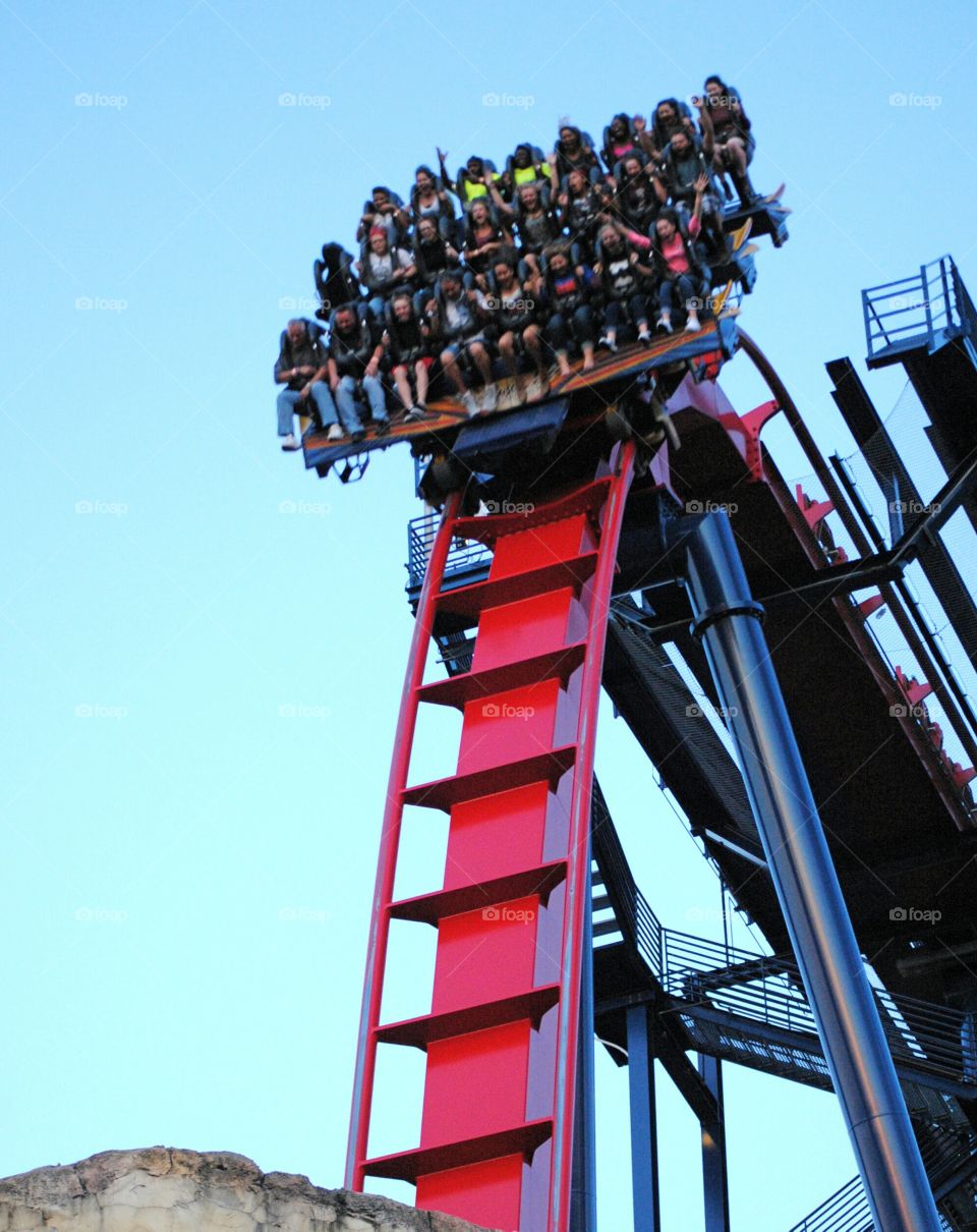 Sheikra rollercoaster. Busch Gardens Tampa Florida