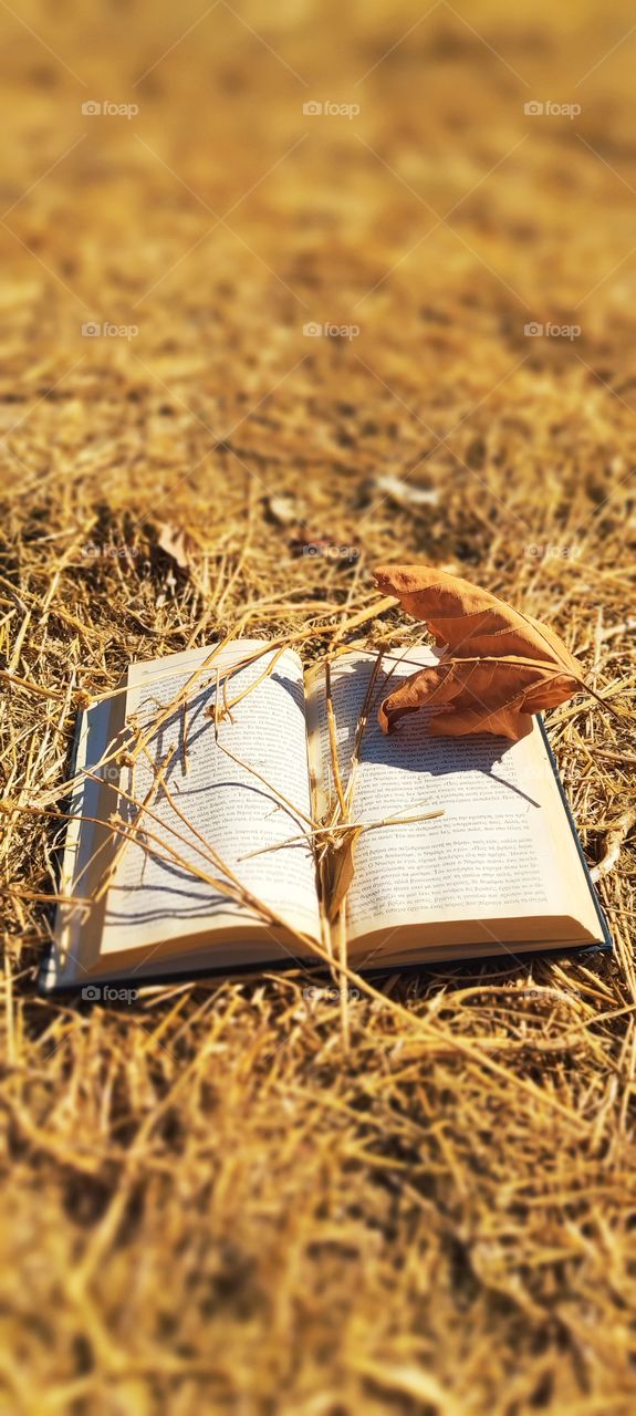 The book of Autumn